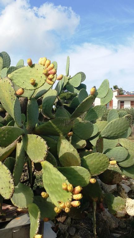 Apartamento Sole E Fiori Di Sicilia Valderice Exterior foto